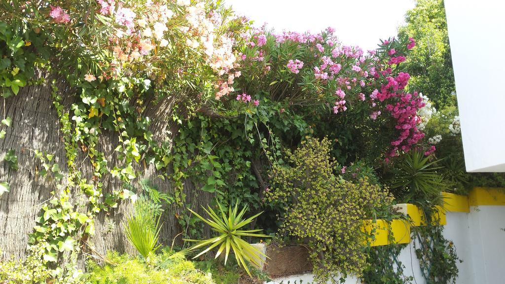 La Gaspara'S Loft Estepona Bagian luar foto